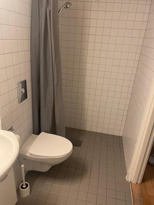 Midt I Sentrum 2 Soverom Og Stue Apartamento *