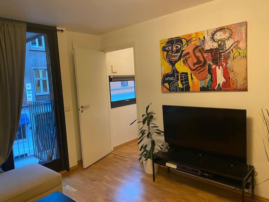 Midt I Sentrum 2 Soverom Og Stue Apartamento